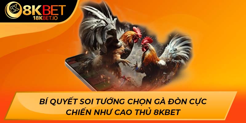 Bí quyết soi tướng chọn gà đòn cực chiến như cao thủ 8kbet