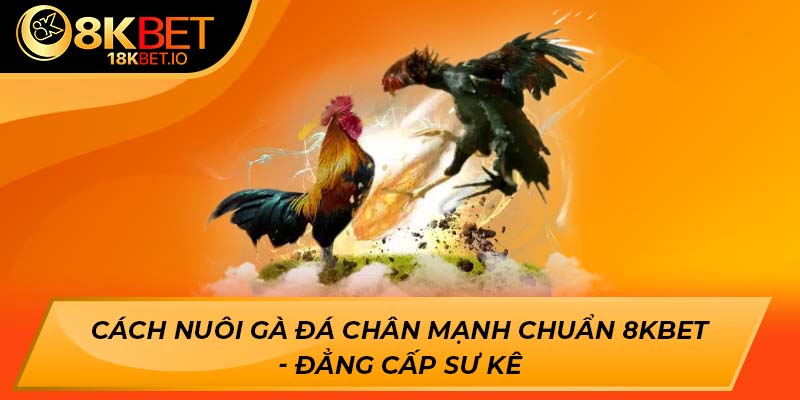 cách nuôi gà đá chân mạnh