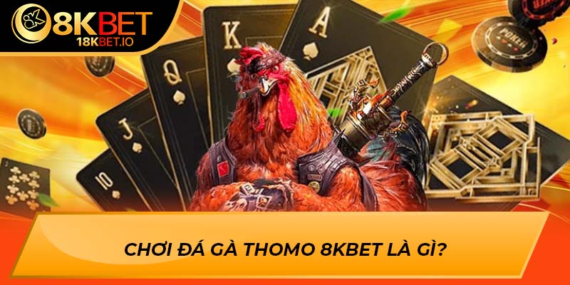 Chơi đá gà thomo 8Kbet là gì?
