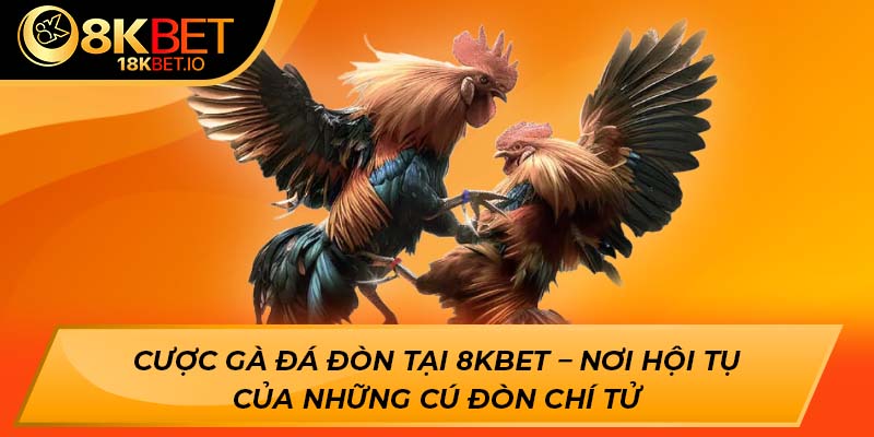 Cược gà đá đòn tại 8kbet – nơi hội tụ của những cú đòn chí tử
