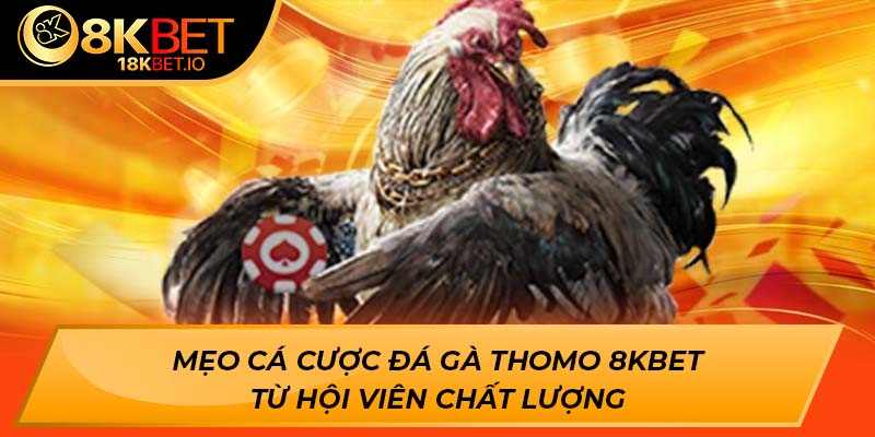 đá gà thomo 8Kbet