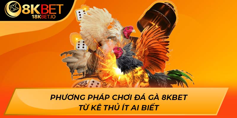 Phương pháp chơi đá gà 8Kbet từ kê thủ ít ai biết