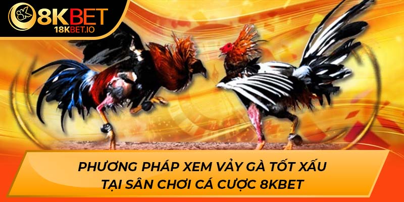 xem vảy gà tốt xấu
