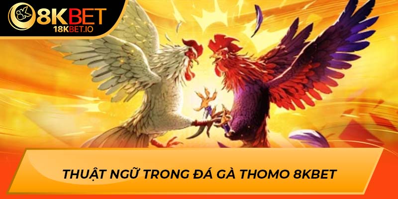 Thuật ngữ trong đá gà thomo 8Kbet